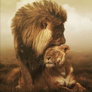 Meet your Posher, Kristi